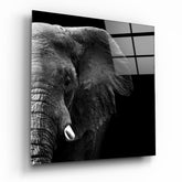 Elephant Glass Wall Art.